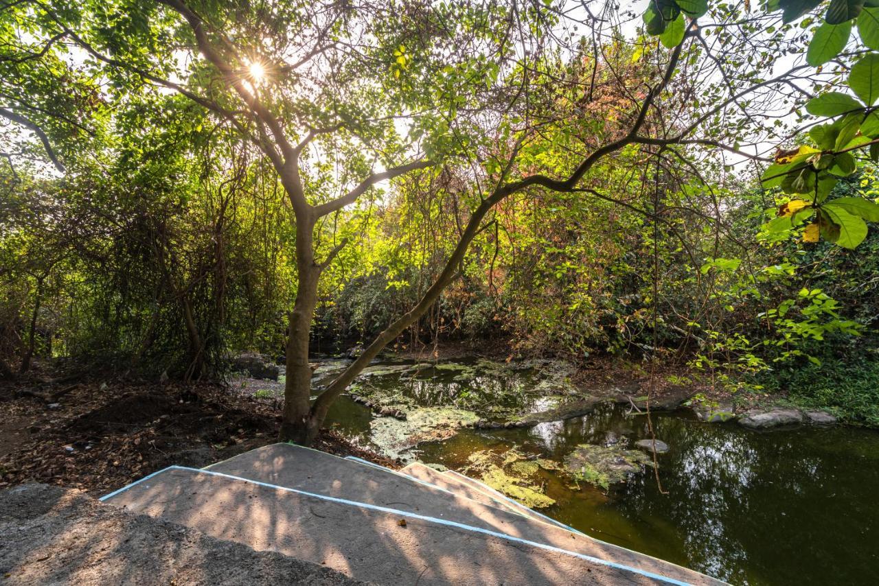 Saffronstays Chikoo Wadi- 3Bdr Pet-Friendly Villa With Pool In Boisar ภายนอก รูปภาพ